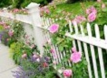 Kwikfynd Garden fencing
chatsbury